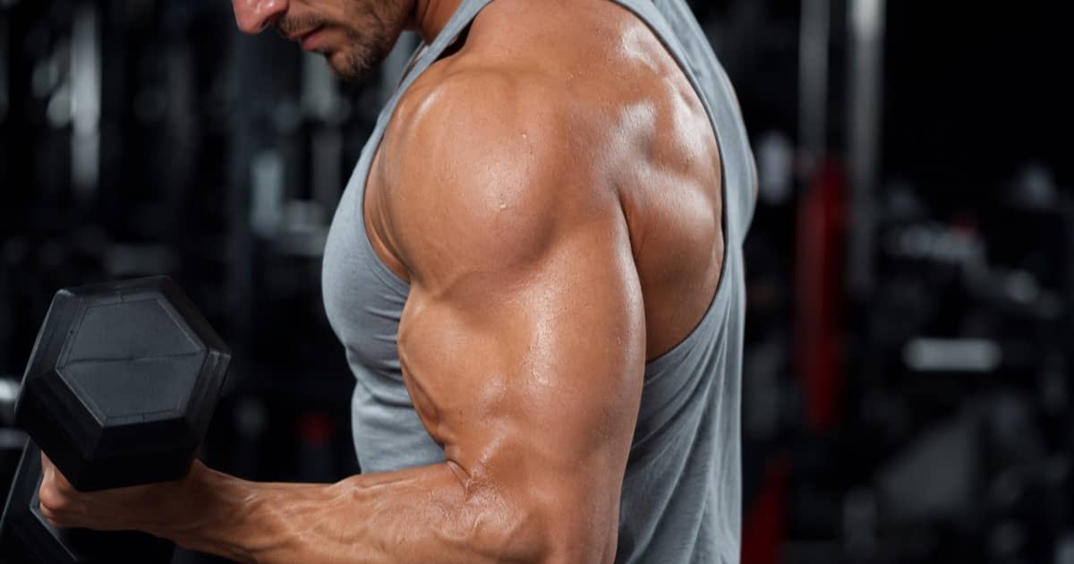 Biceps or Triceps: Which Makes Arms Look Bigger?