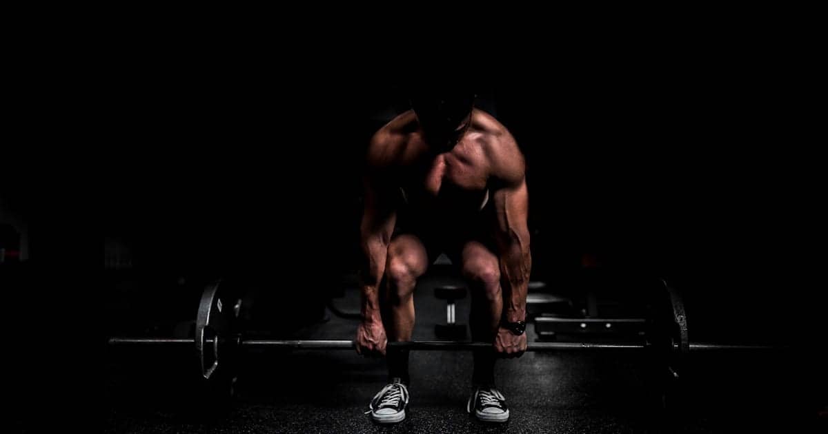 Push Pull Legs (PPL) : Le Guide Complet